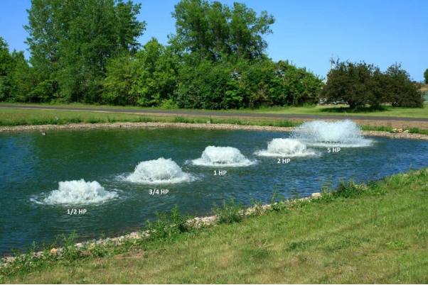 Fountain for pond